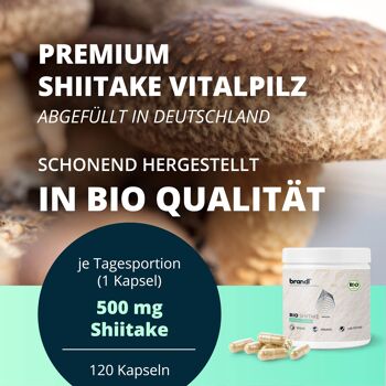 Brandl® Capsules de Champignon Shiitake Biologique à dosage élevé | Premium testé en laboratoire externe | Chambre aux champignons shiitake 2