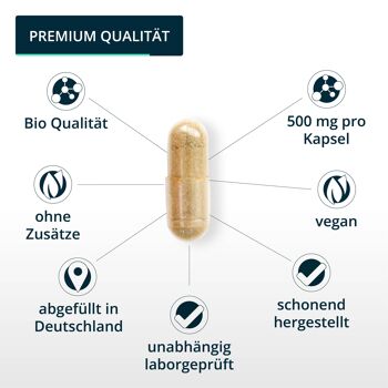 Brandl® Capsules de Champignon Shiitake Biologique à dosage élevé | Premium testé en laboratoire externe | Chambre aux champignons shiitake 4