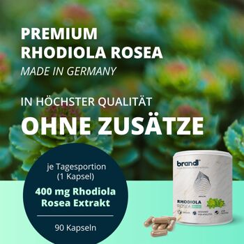 Brandl® Capsules d'extrait de Rhodiola Rosea à dosage élevé | Premium roseroot végétalien et testé en laboratoire externe 2