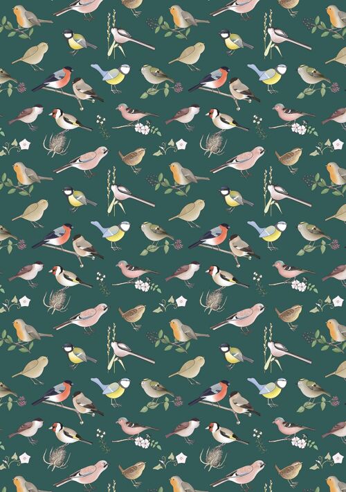 British Birds Softback Notebook (A5 Lined 120 Pages)