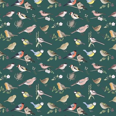 Cuaderno de tapa blanda British Birds (A5 rayado 120 páginas)