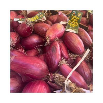 Red onion of Tropea IGP - 6 kg box