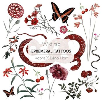 Set de 50 tatuajes temporales - Nueva colección 2023 - Tattoos éphémères 2