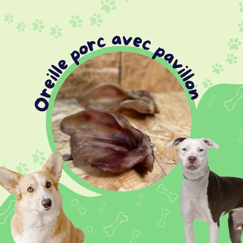 Oreille porc avec pavillon  / Friandise chien