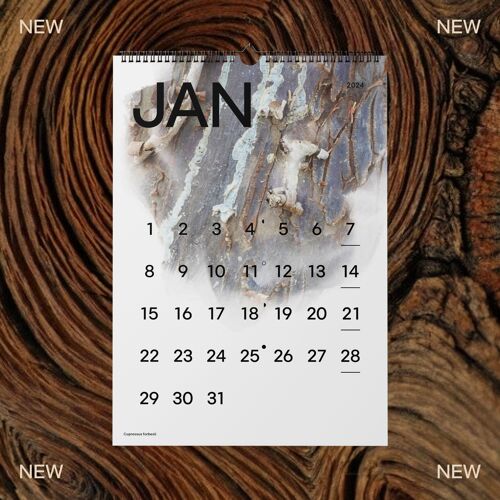 Calendario 2024 | A3 | Mattercal | Premium aesthetic