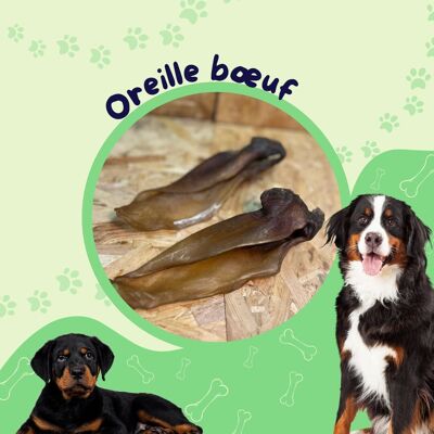Oreille Bœuf / Friandise chien