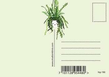 Carte Postale Plantes Bienvenue dans la jungle 2
