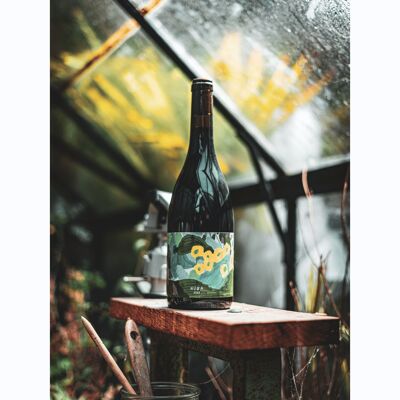 Nuba - Natural Wine Without Added Sulfites - 75 cl