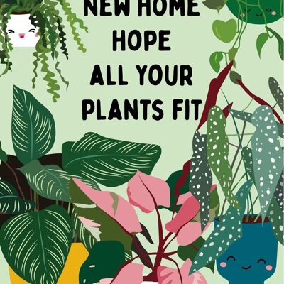 Postkarte Pflanzen neues Zuhause