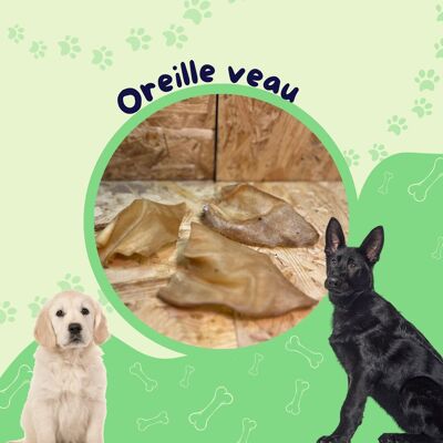 Oreille Veau / Friandise chien