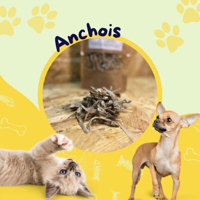 anchoa seca / golosina para perros