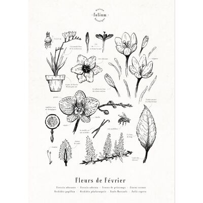 Poster Blumen im Februar