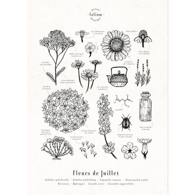 Póster Flores de julio