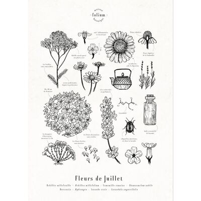 Poster Juli-Blumen