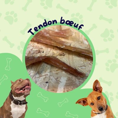 Tendon Bœuf ( Sachet 1kg) / Friandise chien