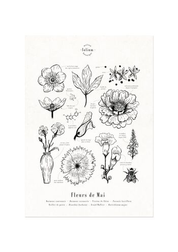 Affiche · Fleurs de Mai 1