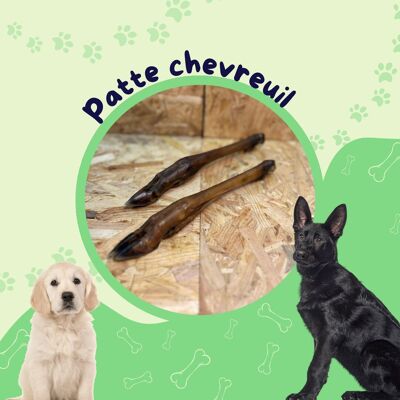 Pattes chevreuil / Friandise chien