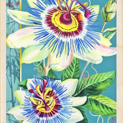 Wooden Postcard PASSION FLOWERS Card