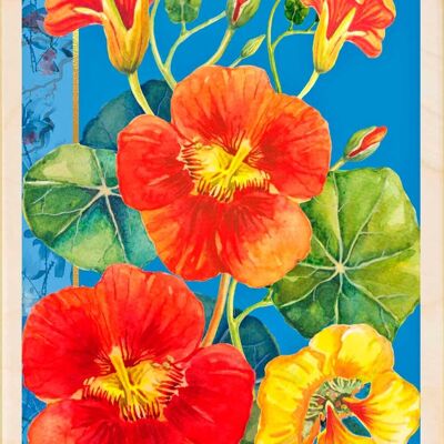 Wooden Postcard NASTURTIUM FLOWERS Card