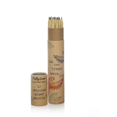 Rainforest Set of 12 Pencils - Recycled Kraft Paper