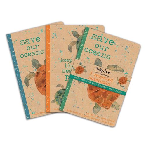 Turtle Notebooks A6 Set of 3- Recycled Kraft Paper