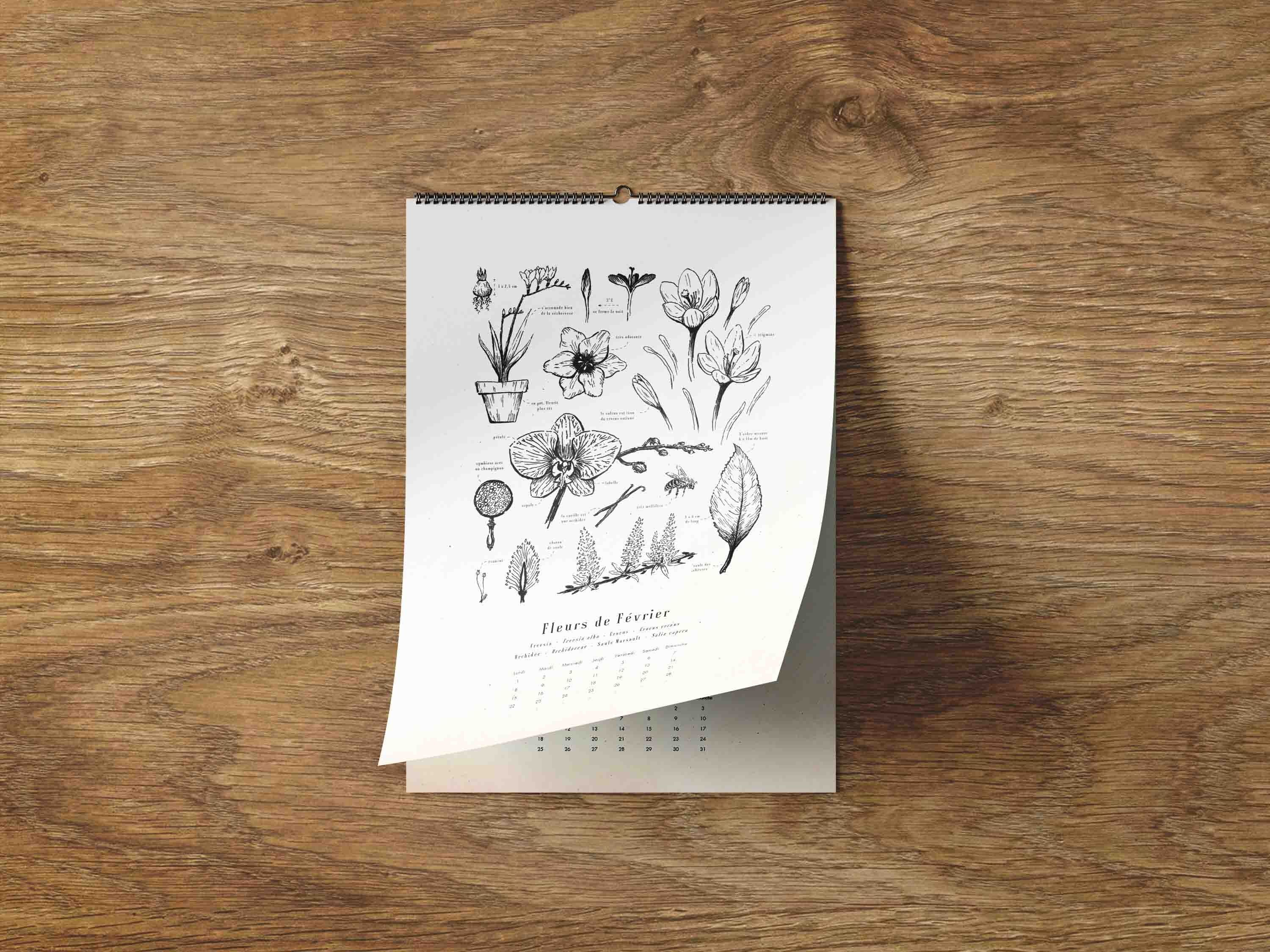 Kalender 2024 Saisonale Blumen