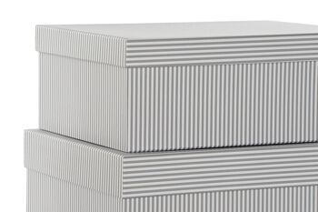 BOITE SET 10 CARTON 43.5X33.5X15.5 RAYURES GRISES CG204421 2