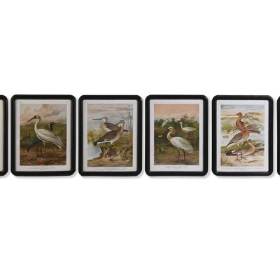 MDF GLASS PICTURE 40X1.8X50 BIRDS 6 ASSORTMENTS. CU201355