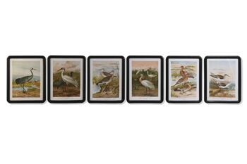 TABLEAU VERRE MDF 40X1.8X50 OISEAUX 6 ASSORTIMENTS. CU201355 1