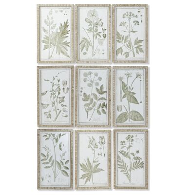 QUADRO BOTANICO IN VETRO MDF 30X2X50 9 ASSORTIMENTI. CU207789