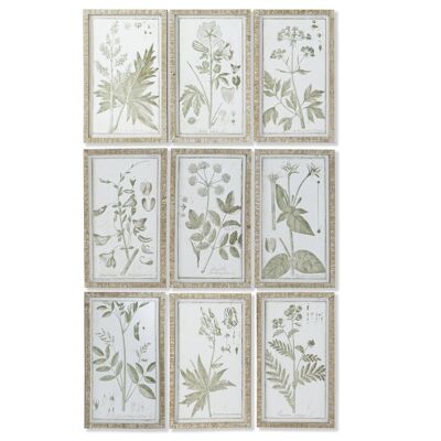 QUADRO BOTANICO IN VETRO MDF 30X2X50 9 ASSORTIMENTI. CU207789