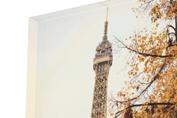 TABLEAU SUR TOILE MDF 40X2,5X80 PARIS 2 ASSORTIS. CU201913 2