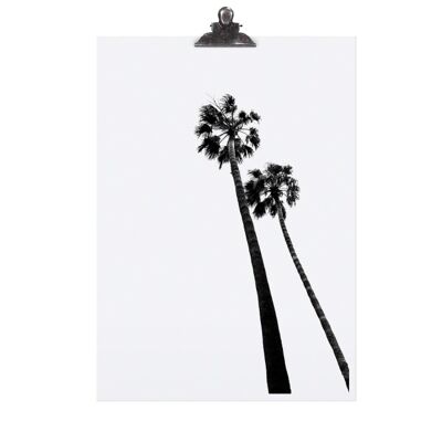 Poster "palm tree" - dina4