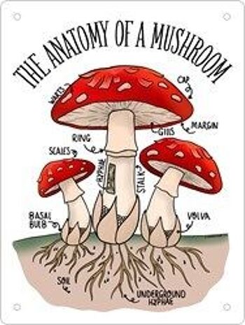 L'anatomie d'un champignon Mini plaque en tôle