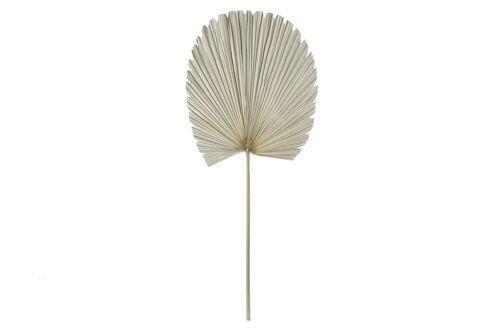 DECORACION HOJA DE PALMERA 45X45X103 NATURAL DH186769