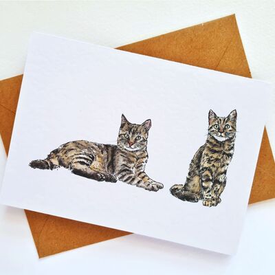 Brown Tabby Cat Handmade & Hand Drawn Greeting Card