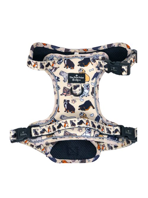 The Bulldog Harness