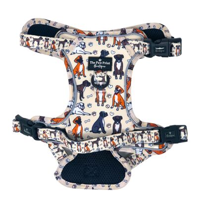 The Boxer Harness