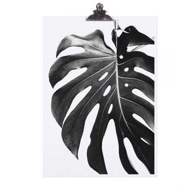 Poster "monstera" - dina3