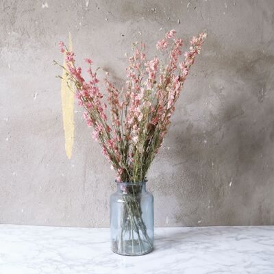 Delphinium Rittersporn Getrocknet (Bund) - Trockenblumen Dekoration