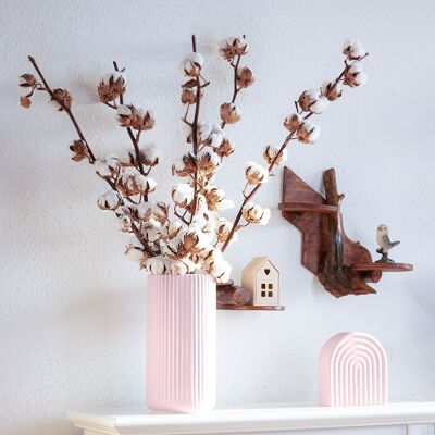 Brin de coton séché pour décoration bohème
