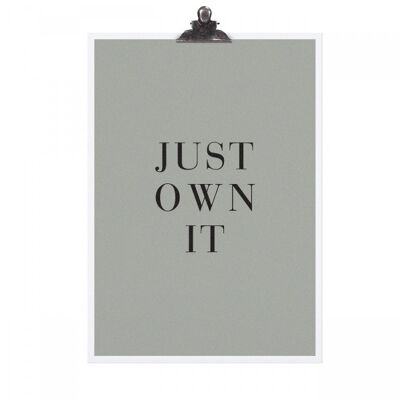 Poster "just own it" - dina3