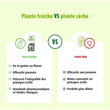 Extrait de plantes fraîches 50 ml - Valériane 3