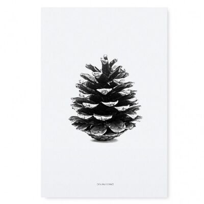 Poster "pine cone" - dina4