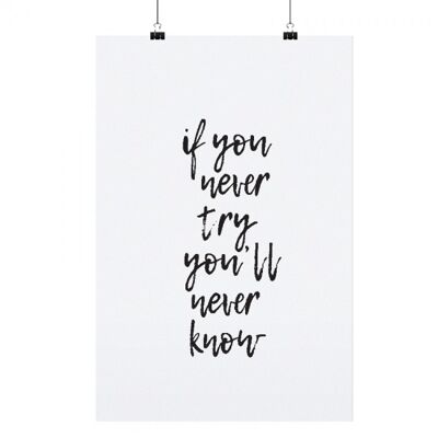 Poster " if you never try" - dina3