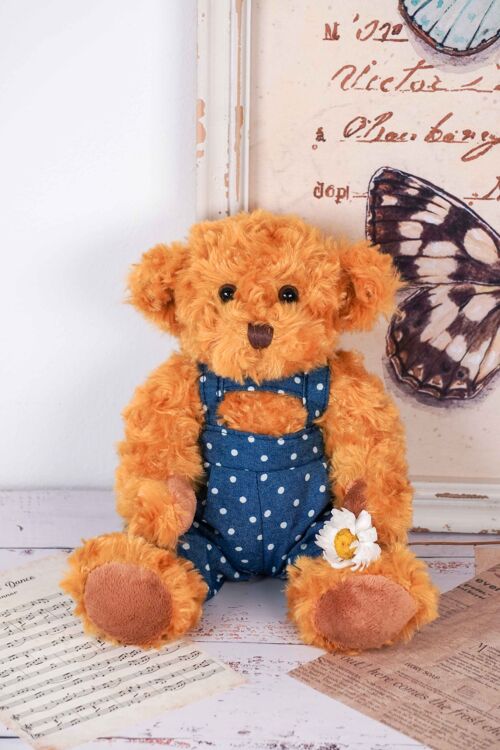 Plush Teddy bear boy 30 cm Isabelle Rose