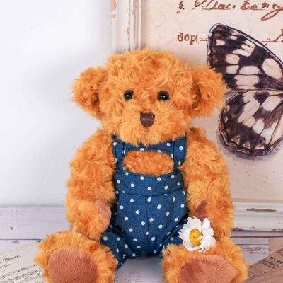 Plüsch-Teddybär Junge 30 cm Isabelle Rose