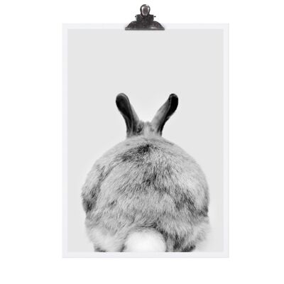 Poster "rabbit" - dina3