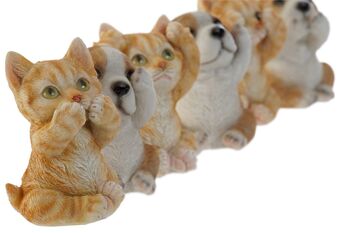 FIGURINE EN RÉSINE 6,5X6X8 CHAT CHIEN 6 ASSORTIMENT. FD205358 2