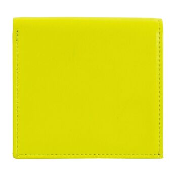 Coloré - Flavio - Citron vert 3